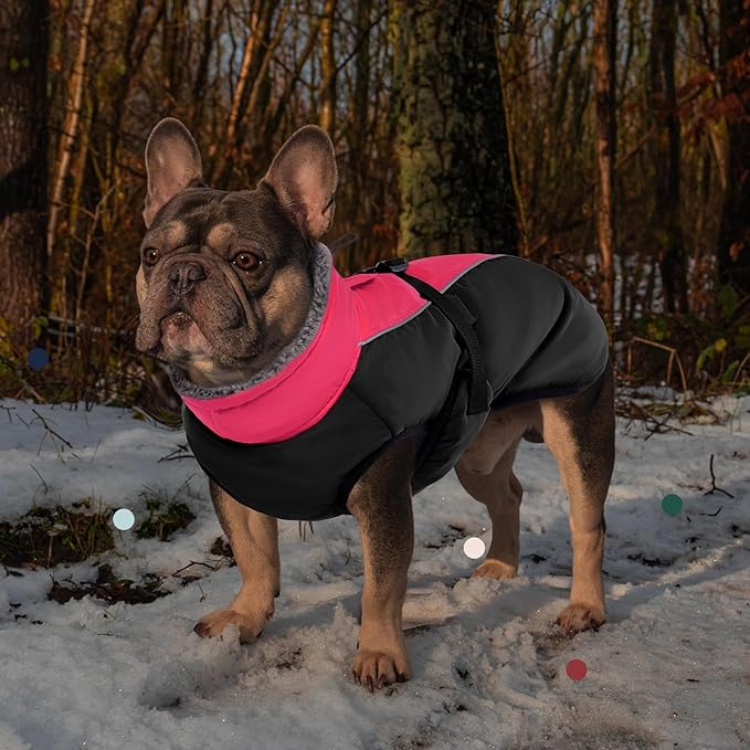 IECOii Extra Warm Dog Coat - Reflective Jacket with Fleece Turtleneck for Cold Weather - Soft Winter Coat for Small to Extra Large Dogs