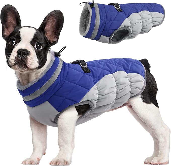 FUAMEY Dog Coat for Small Dogs,Waterproof Dog Winter Jacket with Harness Built in Puppy Cold Weather Coats Reflective Pet Vest with Zipper Warm Fleece Dogs Snowsuit Windproof Blue XS