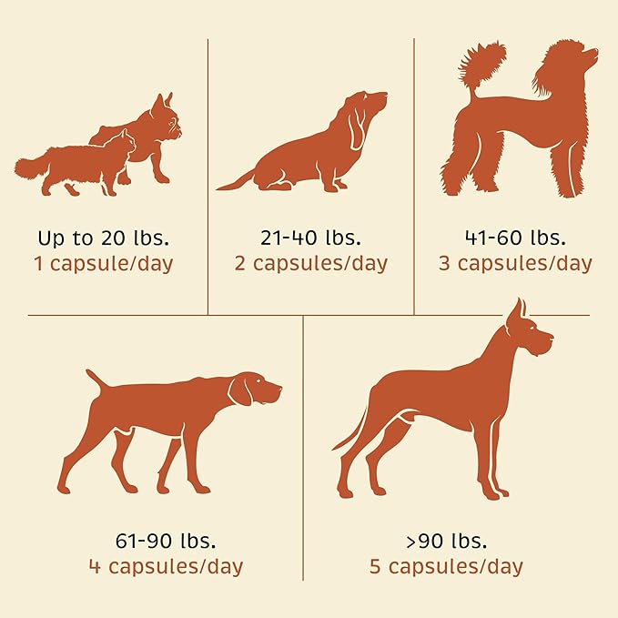 Pet Wellness Bundle - Dental & Probiotic Support for Cats and Dogs - Teeth Powder & Gut Health Capsules for Oral and Digestive Health - 165 g Powder & 90 Capsules