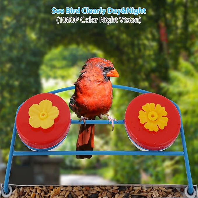Hummingbird Feeder Camera, Smart Bird Feeder with Auto Capture and Notify, 1080P HD Full Color Camera, Free 32G SD Card, Ideal Gift for Bird Lovers