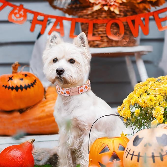 Unique style paws Dog Collar Metal Buckle Collar for Autumn Winter Christmas for Small Medium Large Boys Girls Dogs