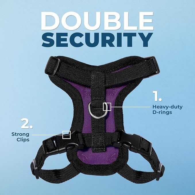 Voyager Step-in Lock Adjustable Cat Harness w. Cat Leash Combo Set with Neoprene Handle 5ft - Supports Small, Medium and Large Breed Cats by Best Pet Supplies - Purple/Black Trim, XXXS