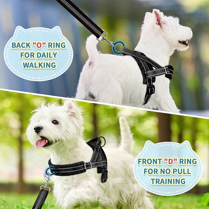SlowTon No Pull Small Dog Harness and Leash Set, Puppy Soft Vest Harness Neck & Chest Adjustable, Reflective Lightweight Harness & Anti-Twist Pet Lead Combo for Small Medium Dogs (Black, XS)