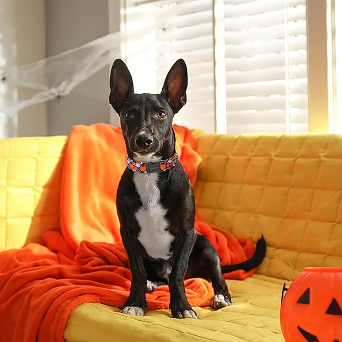 Unique style paws Dog Collar Metal Buckle Collar for Autumn Winter Christmas for Small Medium Large Boys Girls Dogs