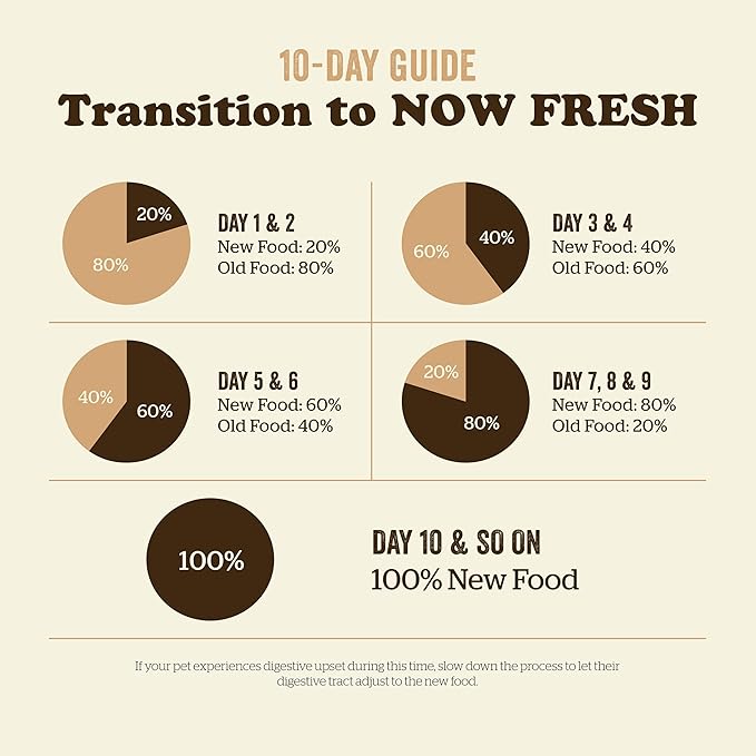 Now Fresh Grain-Free Dry Cat Food with Turkey, Salmon & Duck, Healthy Kibble for Adults Made with Real Meat & Fish, Chicken-Free, with Pumpkin & Probiotics for Sensitive Stomachs, 3 lb Bag