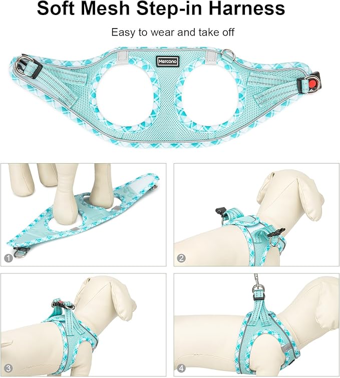 Mercano Soft Mesh Dog Harness and Leash Set, No-Chock Step-in Reflective Breathable Lightweight Easy Walk Vest Harnesses with Safety Buckle for Small Dogs, Cats (Light Blue, S)