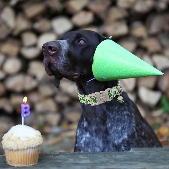 Unique style paws St. Patrick's Day Dog Collar Plastic Buckle Collar with Pendant Green Lucky Magic Hat Gift for Small Medium Large Boys Girls Dogs