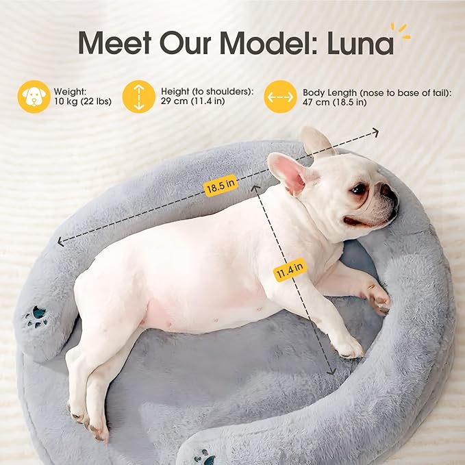 BurgeonNest Orthopedic Dog Bed for Small Dogs, Waterproof Soft Pet Cat Puppy Couch Bolster Bed with Pillow, Removable Washable Cover, Non-Slip Bottom, Egg-Crate Foam, Grey