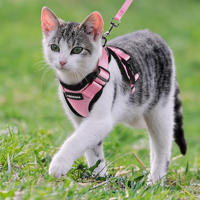 rabbitgoo Cat Harness and Leash for Walking, Escape Proof Soft Adjustable Vest Harnesses for Cats, Easy Control Breathable Reflective Strips Jacket, Pink, M
