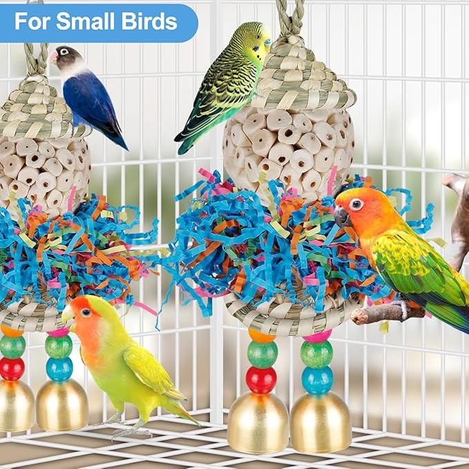 Conure Toys,2PCS Bird Toy Parrot Foraging Shredder Hanging Toys Sola Balls with Bell for Small Parrots Parakeets Cockatiel Conures Love Birds Budgie Cage Toy