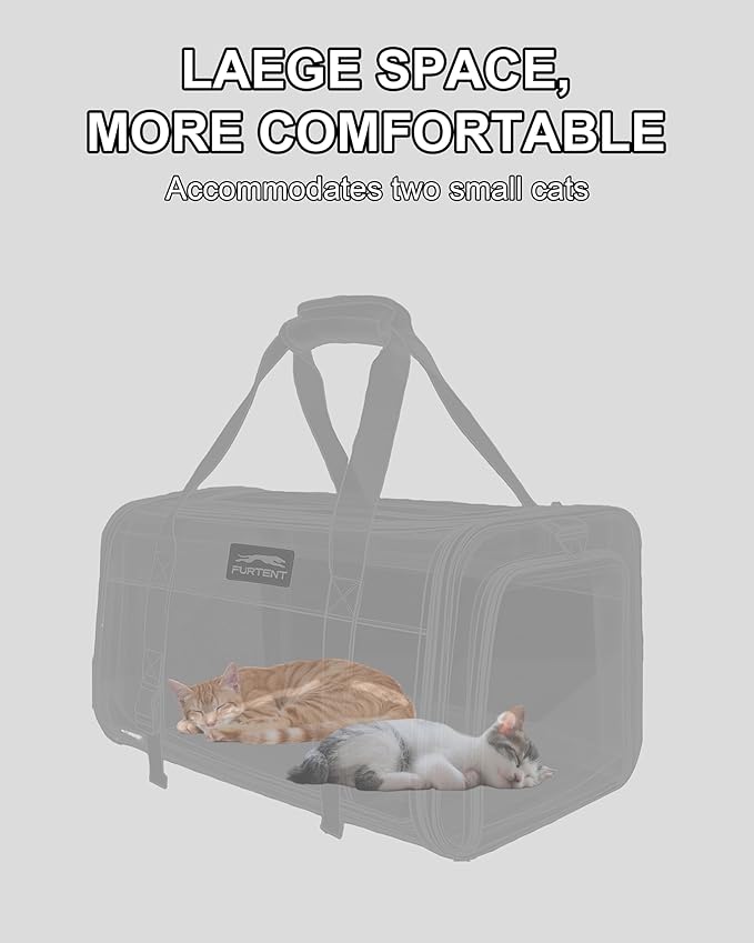 Soft-Sided Large Cat Carrier for 2 Cats, Spacious Foldable Pet Travel Carrier for Large Cats up to 25 Lbs, Double Cat Bag with Shoulder Strap, 20x13x13 Inch, Fits Maine Coon and Small Dogs, Black