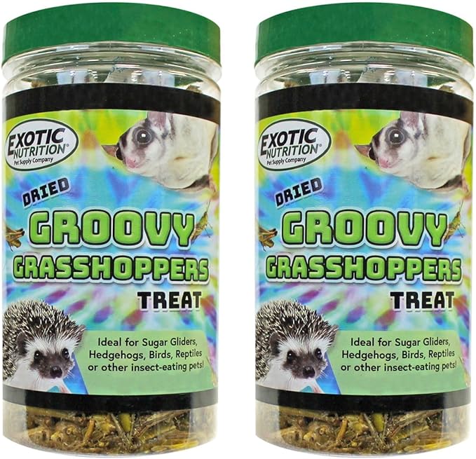 Groovy Grasshoppers (2 PACK)- All Natural Healthy High Protein Insect Treat - Chickens, Birds, Hedgehogs, Bluebirds, Reptiles, Sugar Gliders, Opossums, Skunks, Lizards, Turtles, Amphibians (2.8 oz.)