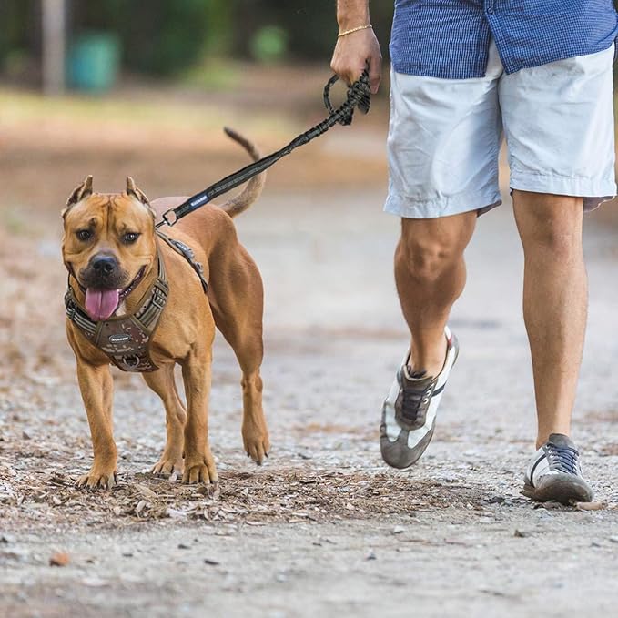 Auroth Tactical Dog Harness for Small Medium Dogs No Pull Adjustable Pet Harness Reflective K9 Working Training Easy Control Pet Vest Military Service Dog Harnesses Black S