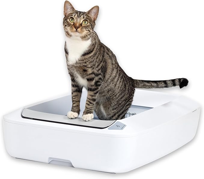 PetSafe ScoopFree Crystal Plus Automatic Self Cleaning Cat Litter Box System – Not Enclosed – Advanced Odor Control – Includes 1 Disposable Crystal Litter Tray – White (PAL00-18016)