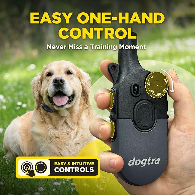 Dogtra 200iQ Remote Training E Collar – 100 Levels, Tone, Vibration, 1/2 Mile Range – Compact, Waterproof, One-Handed Control for Dogs 10 lbs+ – Lightweight Design for Daily Obedience Training