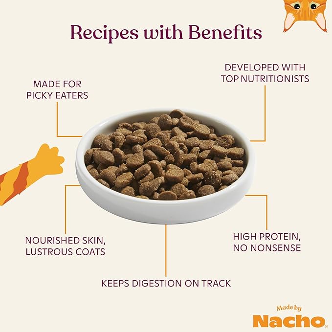 Made by Nacho Dry Cat Kibble 2lb Bag, High Protein and Grain-Friendly Premium Cat Food, Sustainably Caught Salmon and Pumpkin, Infused with Bone Broth for Hydration, Limited Ingredients, Single Bag