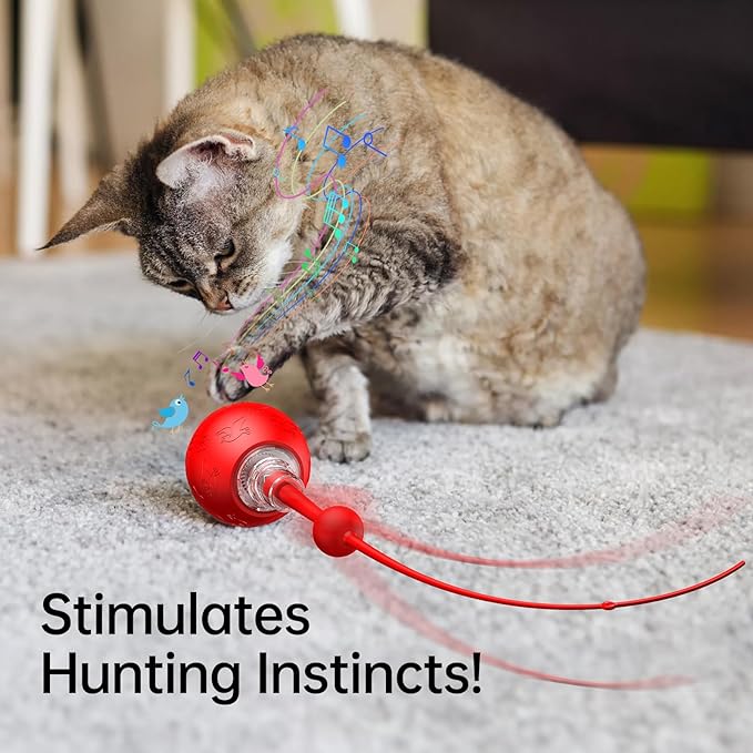 Interactive Cat Toy for Indoor Cats,Automatic Electric Self Rotating Ball with Chirping, Led Light and Long Tail for Motion Activated, Smart Spinning Ball for Fun Exercise, Red