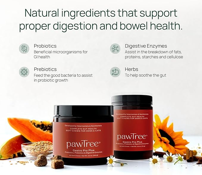 pawTree Gastro Pro Plus® for Dogs and Cats - Probiotics, Prebiotics and Digestive Enzymes - for Sensitive Stomach, Digestive Issues, Loose Stool, and Bad Gas (30 ct)
