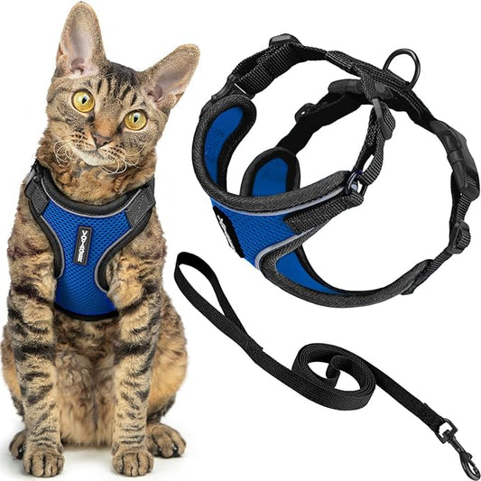 Voyager Escape Proof Cat Harness and Leash Set with Reflective Stitching, Neoprene Handle 5ft - Supports Small, Medium and Large Cats, Kittens for Walking by Best Pet Supplies - BT-Royal Blue, XXXS