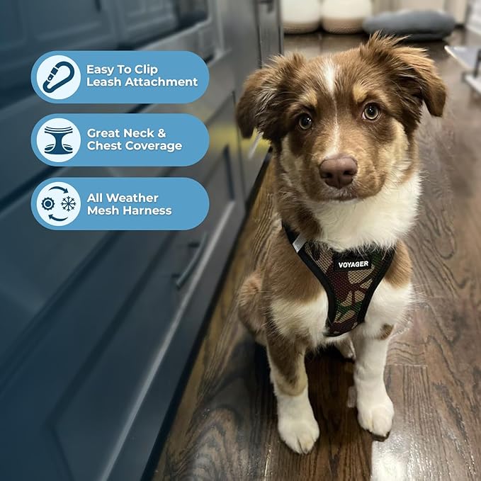 Voyager Step-in Air All Weather Mesh Harness and Reflective Dog 5 ft Leash Combo with Neoprene Handle, for Small, Medium and Large Breed Puppies by Best Pet Supplies - Army/Black Trim, XX-Small