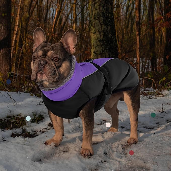 IECOii Extra Warm Dog Coat Reflective Adjustable Dog Jacket Dog Winter Coat with Buckle Fleece Turtleneck Dog Jacket for Cold Weather Soft Winter Coat for Small Medium Extra Large Dogs