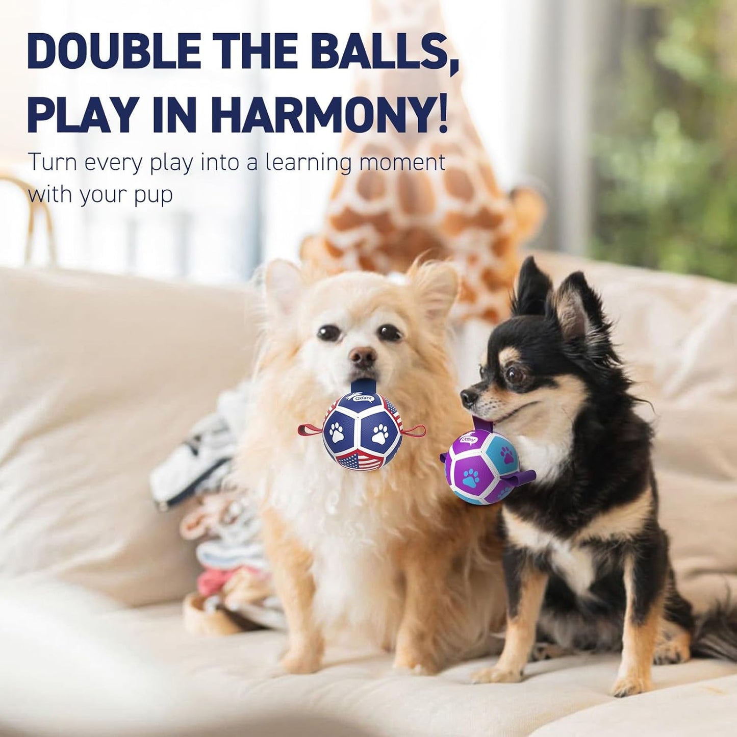 QDAN 2 Pack Small Dog Toys, Puppy Balls, Dog Balls with Straps for Small Breed, Soccer Ball for Dogs, Puppy Toys, Dog Birthday Gift (3.5 Inch)
