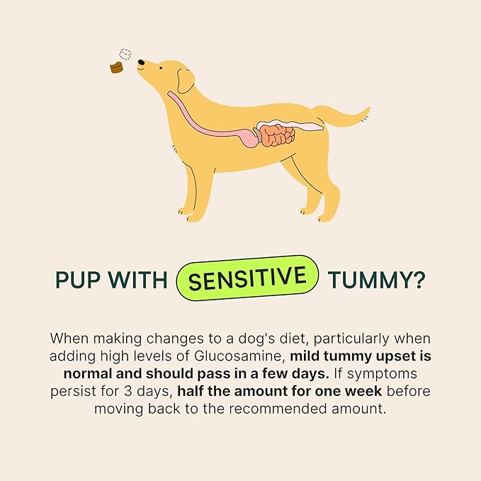 Wuffes Advanced Dog Hip and Joint Supplement with Glucosamine, Chondroitin, Omega 3, MSM, and Green Lipped Mussel, 120 Pork Flavored Chews for Small Dog Breeds