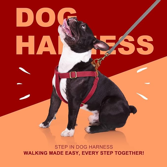Didog Step in Dog Harness with Metal Buckles, Freedom Nylon Dog Halter Vests for Small Dogs Easy Walking Training(S:Chest 13-22", Red)