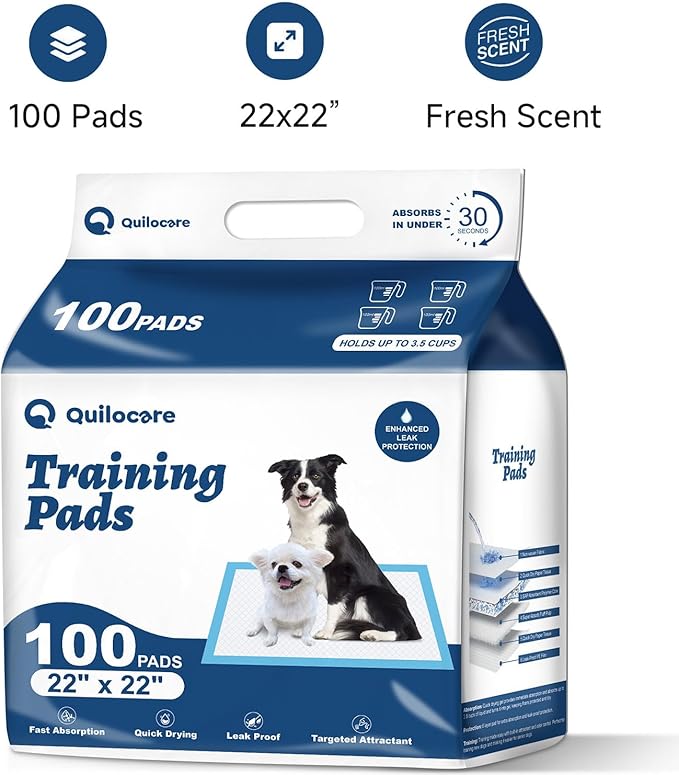 100 Count 22” x 22” Disposable Dog Pee Pads, Super Absorbent Leakproof Puppy Pads Quick Drying, Pee Pads for Dogs, Potty Dog Training Pads
