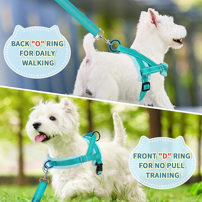 SlowTon No Pull Small Dog Harness and Leash Set, Puppy Soft Vest Harness Neck & Chest Adjustable, Reflective Lightweight Harness & Anti-Twist Pet Lead Combo for Small Medium Dogs(BL-Front Clip,XXS)