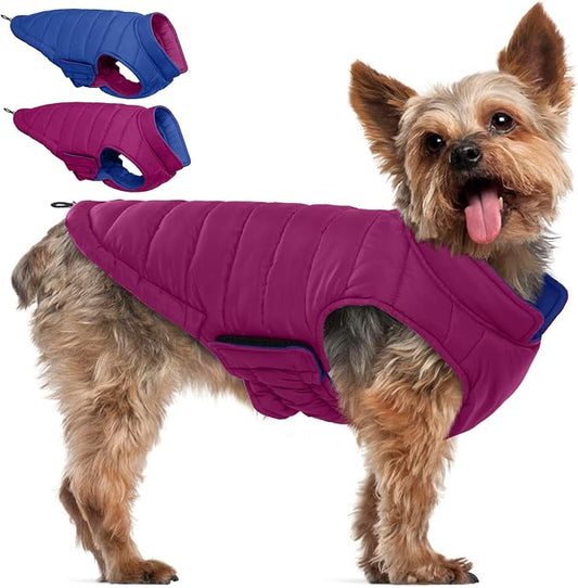 QBLEEV Reversible Dog Puffer Coat, Waterproof Warm Vest for Dogs, Windproof Padded Jacket for Small Dogs, Adjustable Puppy Winter Coats, Snow Cold Weather Coats for Chihuahua Yorkie, Violet, XS