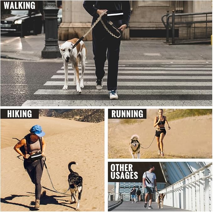 Plutus Pet Hands Free Retractable Bungee Leash with Reflective Stitches, Dual Handle Adjustable Waist Leash for Dog Walking, Running, Jogging, Medium Large Dogs