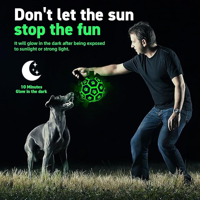 QDAN Premium Glow in The Dark Dog Toys, Dog Ball with Straps, Soccer Ball for Dogs, Outdoor Dog Toys, Pet Birthday Toys, Puppy Essentials for Medium to Large (8Inch)