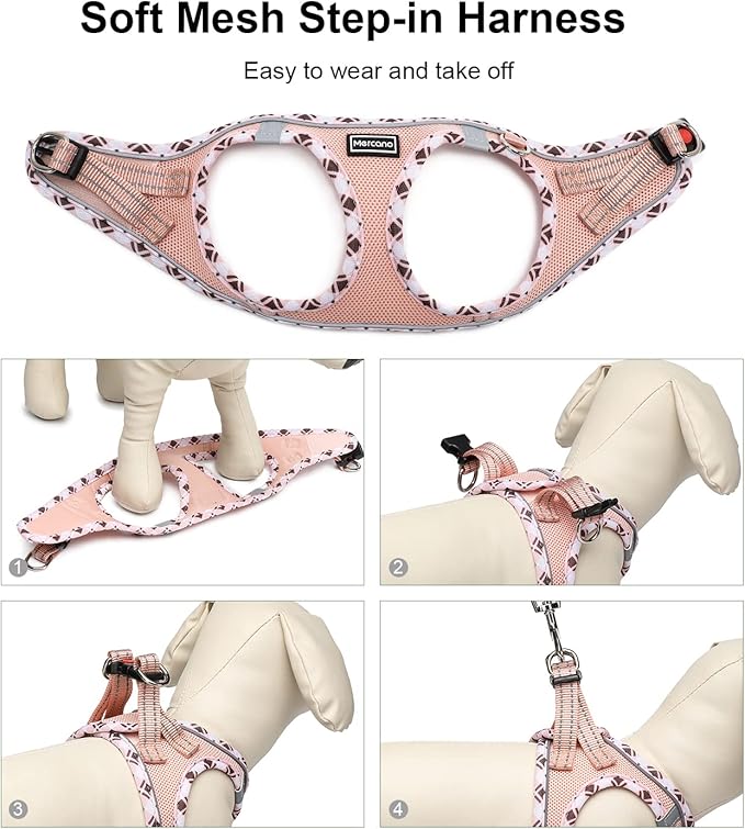 Mercano Soft Mesh Dog Harness and Leash Set, No-Chock Step-in Reflective Breathable Lightweight Easy Walk Vest Harnesses with Safety Buckle for Small Dogs, Cats (Champagne, S)