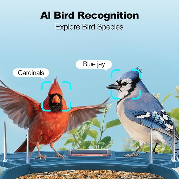 Bird Feeder with Camera,FHD Live View Video,Smart WiFi Bird Feeder Camera with Solar Panel,AI Birds Identification,IP65 Waterproof Birds House with Cam,Instant Arrival Alerts,Ideal Gift for Fathers