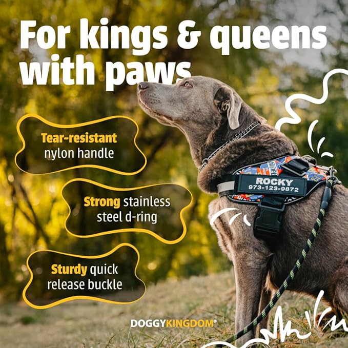 Personalized No-Pull Dog Harness with Name Patch, Adjustable, Reflective, Padded, Heavy Duty Pet Vest to Prevent Tugging, Pulling, or Choking, Training and Walking, Red, L