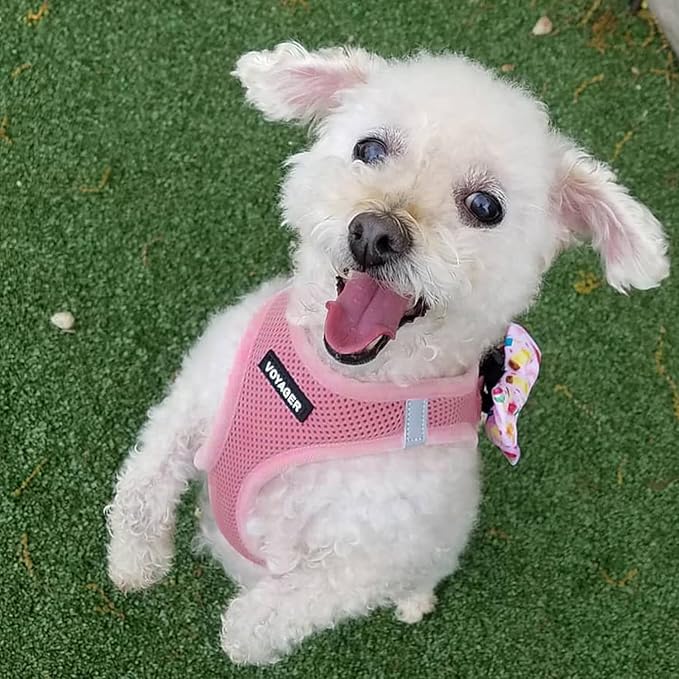 Voyager Step-in Air All Weather Mesh Harness and Reflective Dog 5 ft Leash Combo with Neoprene Handle, for Small, Medium and Large Breed Puppies by Best Pet Supplies - Harness Leash Set (Pink), M