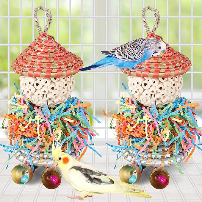 2PCS Bird Toys Parrot Foraging Shredder Hanging Toys Sola Balls with Bell for Small Parrots Parakeets Cockatiel Conures Love Birds Budgie Cage Toy