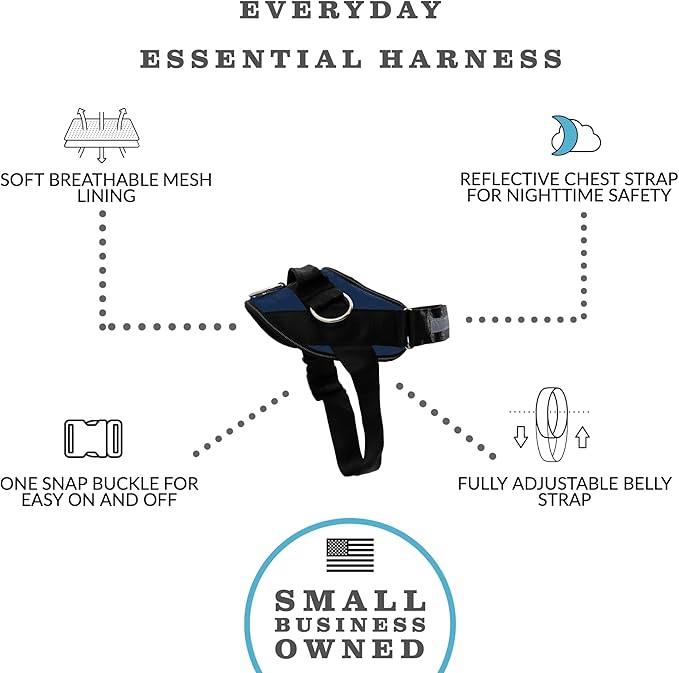 ShawnCo Essential Dog Harness, No-Pull Pet Vest with 3 Leash Clips, No Choke, Reflective, Adjustable and Padded, for Easy Walking and Training for Small, Medium and Large Dogs (Pacific Blue, XS)