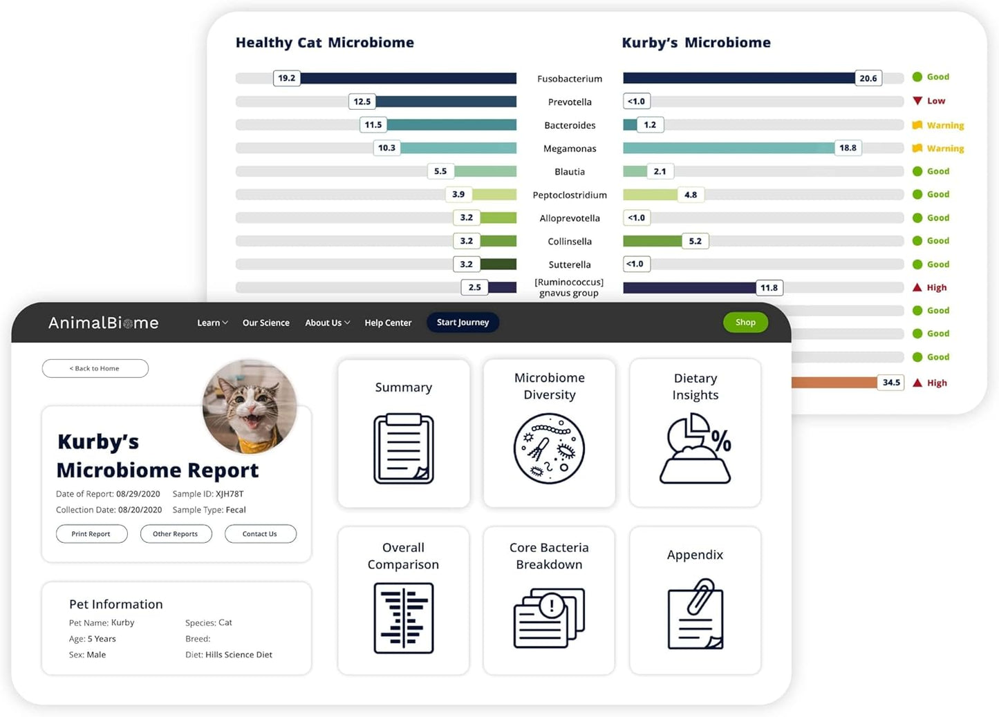 AnimalBiome Cat Probiotics Test Kit - Gut Microbiome Health Test - KittyBiome (Cats Within The US)