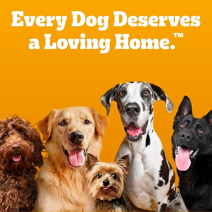 Pedigree Dentastix Small and Toy Breed Dog Treats, Original, Beef & Fresh Flavor, 2.36 lb. Variety Pack (157 Treats)