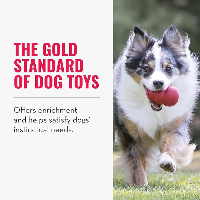 KONG Classic Stuffable Dog Toy - Fetch & Chew Toy for Dogs - Treat-Filling Capabilities & Erratic Bounce for Extended Play Time - Durable Natural Rubber Material - for Large Dogs (Pack of 2)