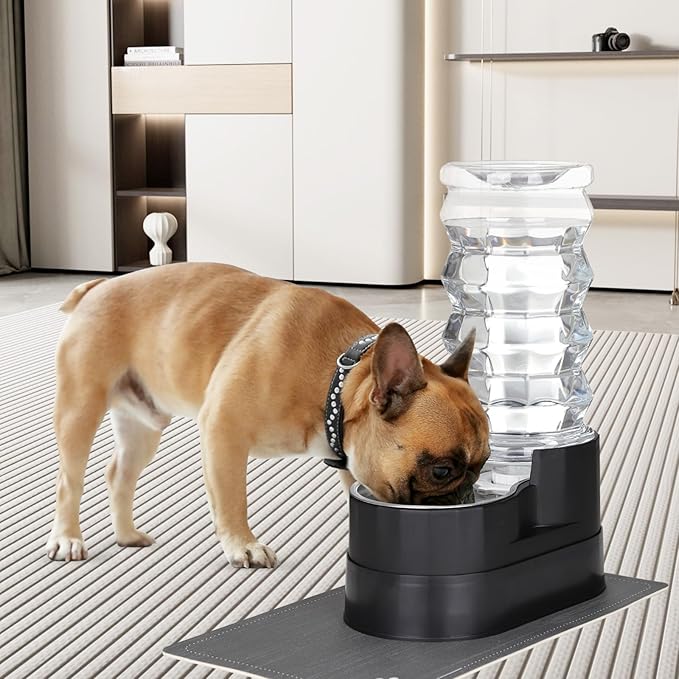 RIZZARI Large Water Dispenser for Dogs: 8L Gravity Black Automatic Stainless Steel Waterer - 100% BPA Free - Raised Pet Feeder for 20-42 LB Senior Dogs with Joint Pain in Bedroom Garden
