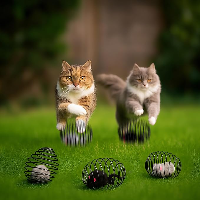 Jecery 5 Pcs Cat Spring Balls Stretchable Springs Toys Rolling Balls Colorful Playful Coils Interactive Spring Action Toy Caged Rats for Kitten Cat Pet Supplies Indoor (Mouse,Black)