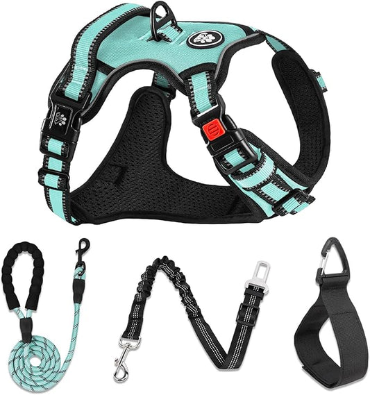 NESTROAD No Pull Dog Harness,Adjustable Oxford Dog Vest Harness with Leash,Reflective No-Choke Pet Harness with Easy Control Soft Handle for Small Dogs(Small,Turquoise)