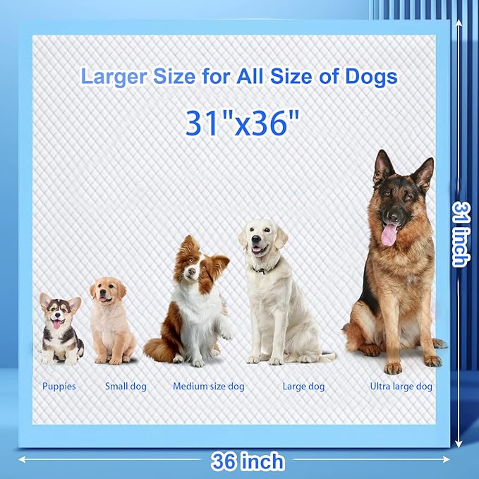 Extra Large Dog Pee Pads, 100 Pads 31"x36" Disposable Training Pads, Puppy Pads with high Absorbency and Leak-Proof Protection for House Training Cats,Rabbits,Dogs Leak-Proof Dog Pee Pads Extra Large