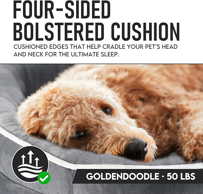 OhGeni Orthopedic Big Dog Couch Pet Sofa XL Sized Cat Beds with Comfort Foam Support, Soft Comfortable Fabric, Machine Washable Waterproof Removable Cover, 42-Inch (Gray)