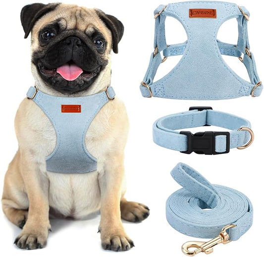 No Pull Dog Harness- Lightweight, Soft, Adjustable Small Harness Collar and Leash Set, Suitable for Cats Puppy Small and Medium-Sized Dog Outdoor Training and Running (Blue, M)
