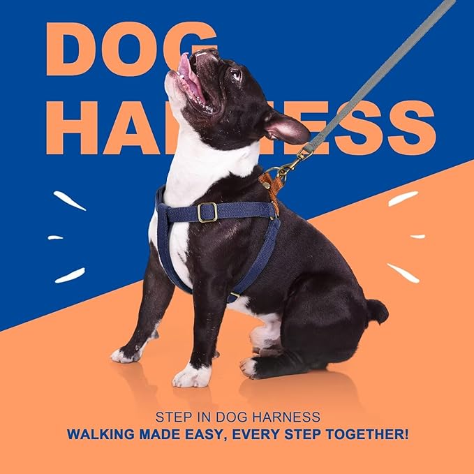 Didog Step in Dog Harness with Metal Buckles, Freedom Nylon Dog Halter Vests for Small Dogs Easy Walking Training(XS:Chest 9-12", Dark Blue)