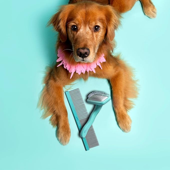 Floof by Brodie Dog Grooming Slicker Wire Brush: Designed for Long Haired Dog Breeds - Dematting and Deshedding, Comfortable and Easy to Use, Ergonomic Handle - Small (Teal, Small)